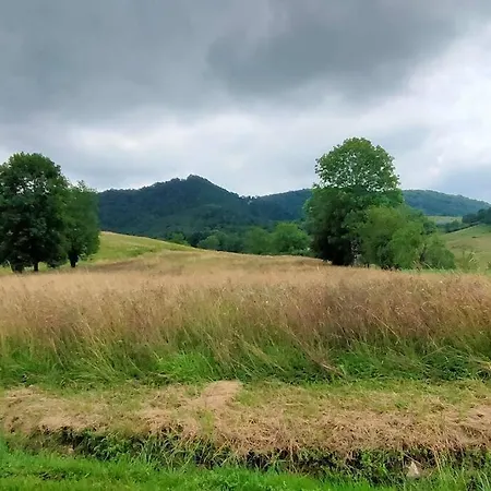 Ferienhaus Les Pierres Dorees, Demeure De Caractere Montels (Ariege)